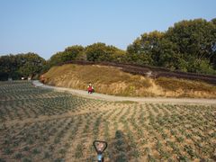 -广州市流溪河国家森林公园