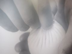 -阳阳中国饭(龙湖大兴天街)