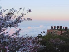 -泰山风景名胜区