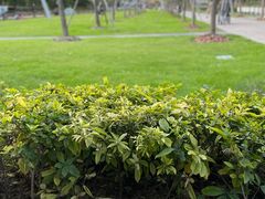 -COFFEE CALL(云锦路店)