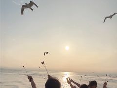 -海驴岛(荣成市)