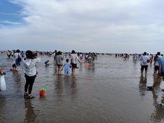 -碧海金沙