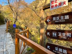 -大岭沟猕猴桃谷风景区
