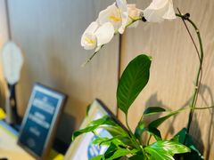 -杭州西湖柳莺里酒店·闻莺厅