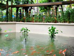 -普吉岛卡塔阿维斯塔诺富特酒店度假村