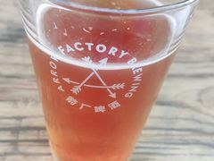 -Arrow Factory Brewing箭厂啤酒