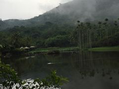 -呀诺达热带雨林