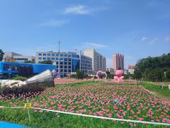 -大连老虎滩海洋公园
