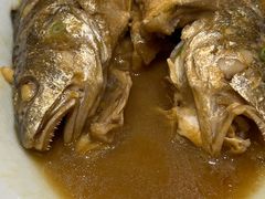 家常烧野生大鲈鱼-浩运·海鲜青岛菜·海胆水饺(石老人店)