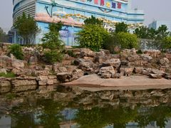 -石家庄极地海洋世界
