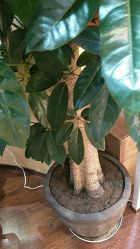 -艺米阳光Hair Salon