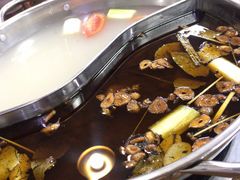 -肥婆麻辣火锅.顺德首创药材麻辣火锅(容桂店)