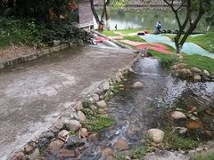 -梧桐庄园