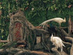 -野象谷景区