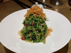 巧拌豆苗-四季民福烤鸭店(西单华威约饭街店)