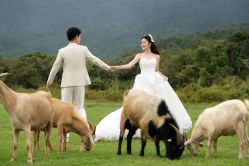 -麦田·婚纱摄影(天河新天地店)