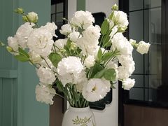 -南堂馆·新川菜(春熙路店)