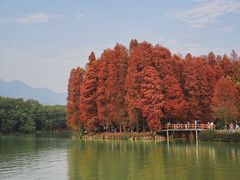 -星湖旅游景区七星岩