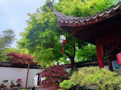 -上海醉白池公园