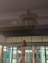-爱帝宫月子中心(罗湖别墅院)