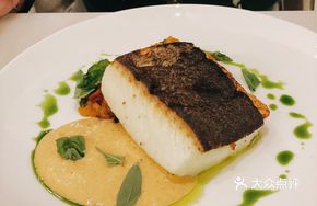 Halibut