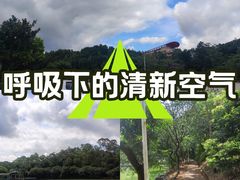 -大雁山风景区