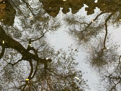 景点-恭王府博物馆