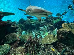 -鹿儿岛水族馆