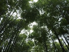-宝岩生态观光园