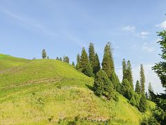 -新疆那拉提国家旅游度假区