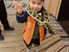 -广州长隆飞鸟乐园