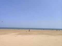 -日照海滨国家森林公园