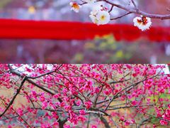 -滆湖低碳生态公园