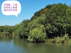 -新江湾城公园