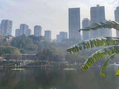 -重庆彩云湖湿地公园
