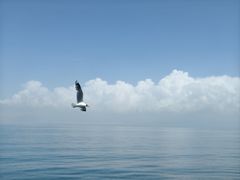 -青海湖二郎剑景区