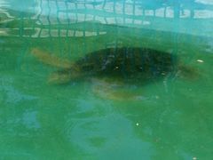 -北戴河圣蓝海洋公园