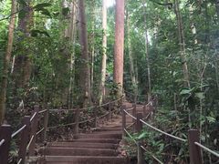 -武吉知马自然保护区