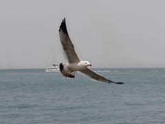 -大连海昌东方水城