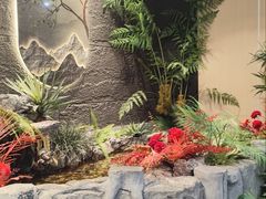 -绿江春(长江街店)