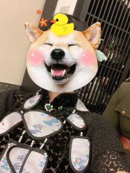 -盘子女人坊古装写真摄影(天津总店)