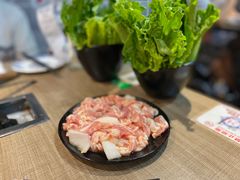 -石记东北风味烤肉店(子固路店)