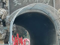 -保定市动物园