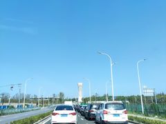 -上海滨江森林公园·停车场