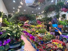 -三旗百汇商品城