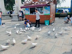 -天津妈祖文化园