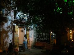 -古树酸奶(八廓南街店)