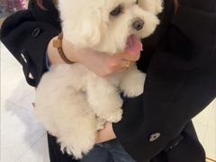 -FAELING PETS美天灵宠物(富力广场店)