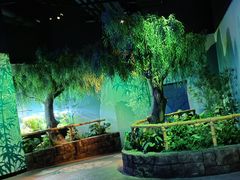 -沈阳海洋探索中心