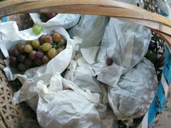 -马陆小张葡萄园农家乐